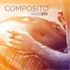 Guido Zitti - Composito